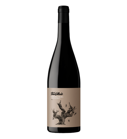 Finca collado garnacha monastrell