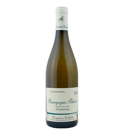collotte blanc